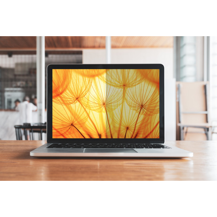 3M Filtre de confidentialité de l'écran lumineux pour Microsoft® Surface® Laptop 3 - 5 13.5 po (342 mm), 3:2, BPNMS002