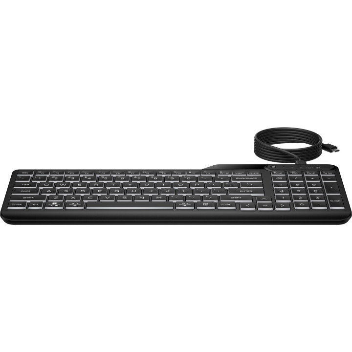 HP STORE 3PL clavier Bureau USB Noir