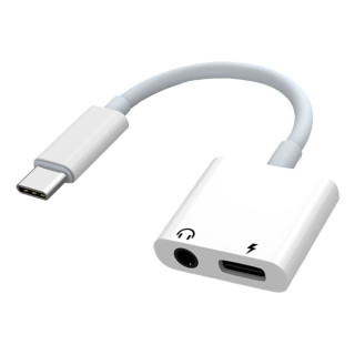 Samsung Adaptateur Type C vers ports duo Jack & USB C