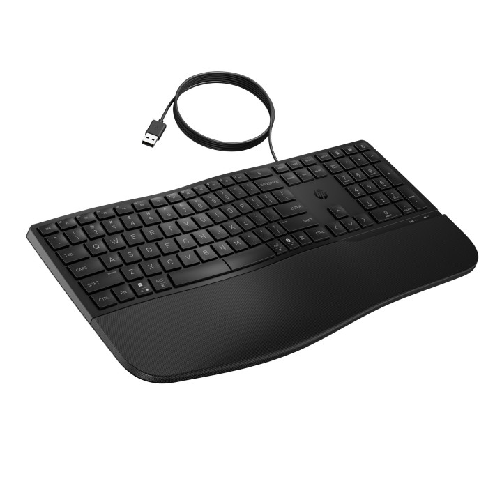 HP STORE 3PL clavier Bureau USB Noir
