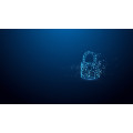 Kingston Technology IronKey 128 Go D500S FIPS 140-3 Lvl 3 AES-256