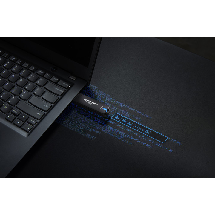 Kingston Technology IronKey 512 Go D500S FIPS 140-3 Lvl 3 AES-256