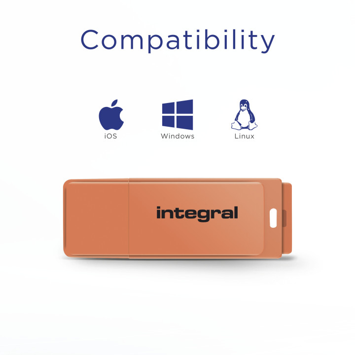 Integral INFD64GBNEONOR lecteur USB flash 64 Go 2.0