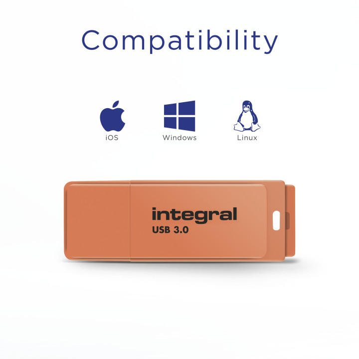 Integral INFD64GBNEONOR3.0 lecteur USB flash 64 Go 3.2 Gen 1 (3.1 Gen 1)