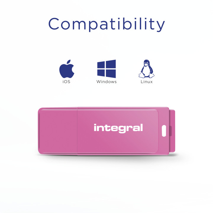 Integral INFD128GBNEONPK lecteur USB flash 128 Go 2.0