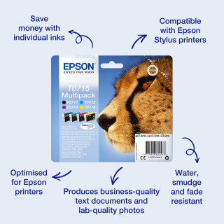 Epson Cheetah Singlepack Cyan T0712 DURABrite Ultra Ink