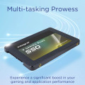 Integral INSSD256GS625V2P disque SSD 256 Go 2.5" Série ATA III TLC