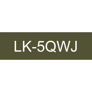 Epson LK-5QWJ Kaki, Blanc