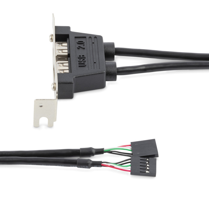StarTech.com Equerre USB 2 ports - Adaptateur Slot USB - Faible Encombrement (LP)