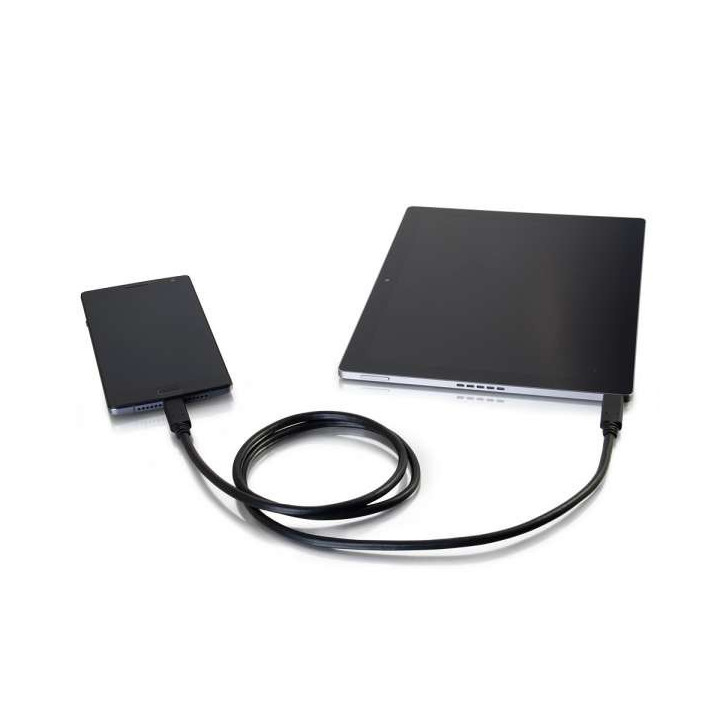 C2G Câble USB-C 3.1 (USB 3.1 2e gén.) USB-C mâle vers mâle de 1 m