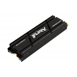 Kingston Technology 4000G RENEGADE PCIe 4.0 NVMe SSD W/ Radiateur de dissipation thermique
