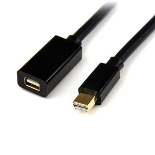 StarTech.com Câble d'Extension Mini DisplayPort de 2 m - Vidéo 4K x 2K - Câble d'Extension Mini DisplayPort Mâle vers Femel