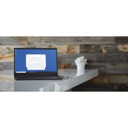 Kingston Technology IronKey 16 Go IKLP50 AES USB, w/256bit Encryption