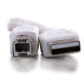 C2G Câble USB 2.0 A/B de 2 M - Blanc