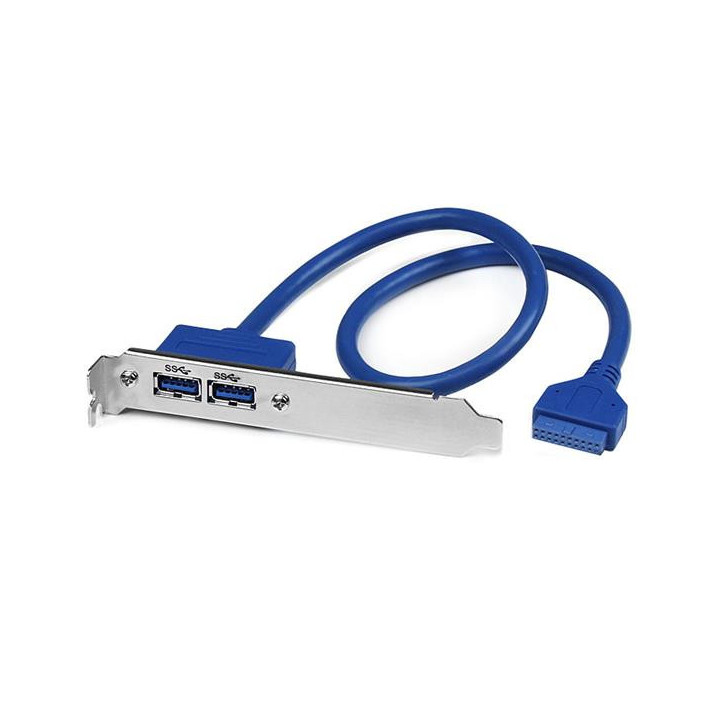 StarTech.com Adaptateur Carte Mère vers Plaque 2 Ports USB 3.0 A Femelle Encastré