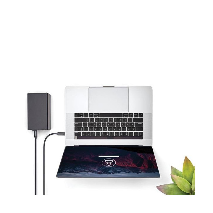 StarTech.com Câble Thunderbolt 3 de 2 m avec Power Delivery 100 W - 40 Gbps