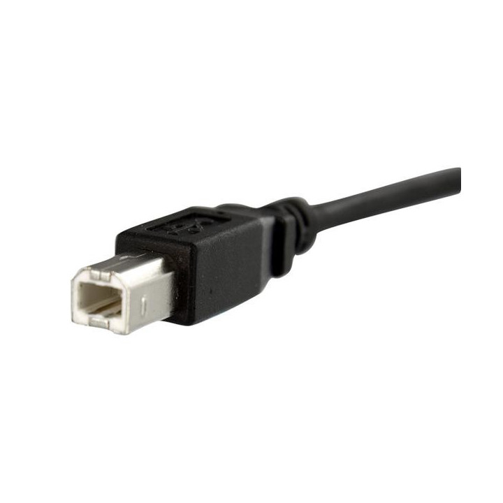 StarTech.com Câble USB Montage sur Panneau B Femelle vers B Mâle - 91 cm