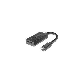 Lenovo 4X90Q93303 câble vidéo et adaptateur 0,2 m USB Type-C DisplayPort Noir