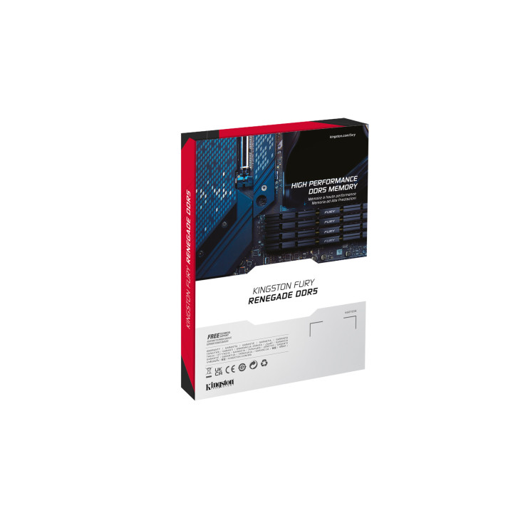Kingston Technology FURY 24 Go 7200 MT/s DDR5 CL38 DIMM Renegade Argent XMP