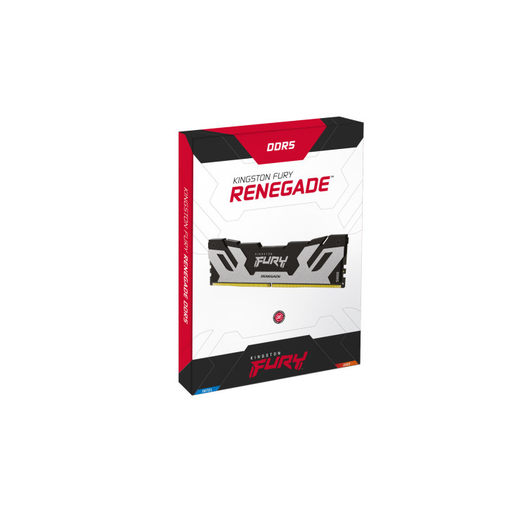Kingston Technology FURY 16 Go 7600 MT/s DDR5 CL38 DIMM Renegade Silver XMP