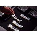 Kingston Technology FURY 16 Go 7600 MT/s DDR5 CL38 DIMM Renegade Silver XMP