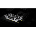 Kingston Technology FURY 16 Go 7600 MT/s DDR5 CL38 DIMM Renegade Silver XMP