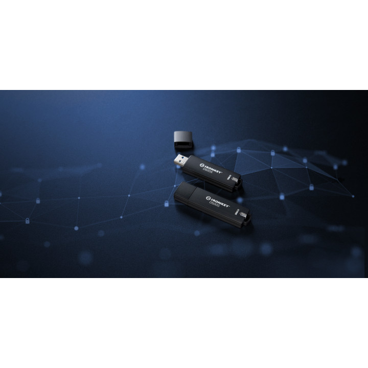 Kingston Technology IronKey 256 Go D500S FIPS 140-3 Lvl 3 AES-256