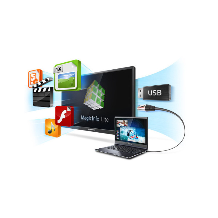 Samsung MagicInfo Lite S/W Server License 1 licence(s)