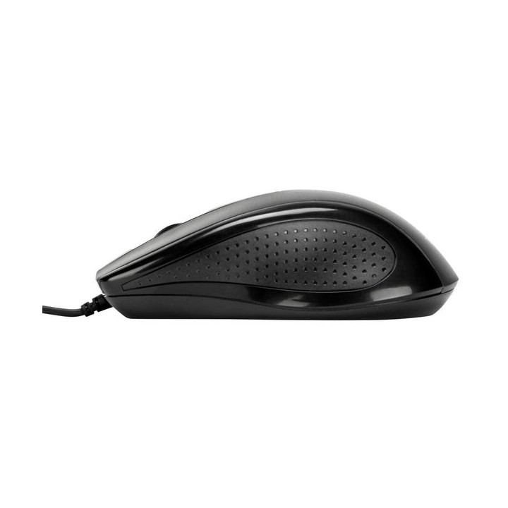 Targus AMU81AMGL souris Ambidextre USB Type-A Optique 1000 DPI