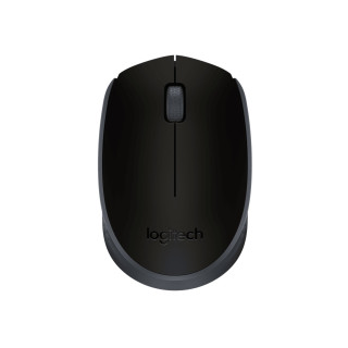 Logitech M171