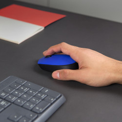 Logitech M171