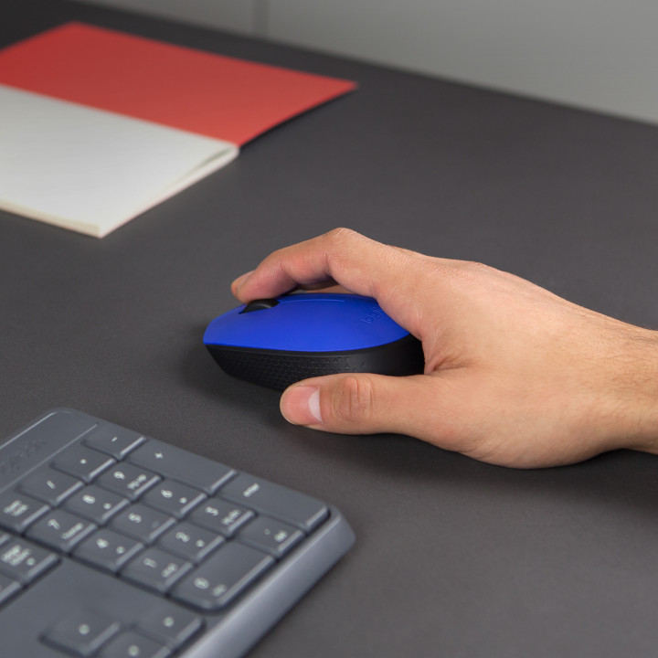 Logitech M171