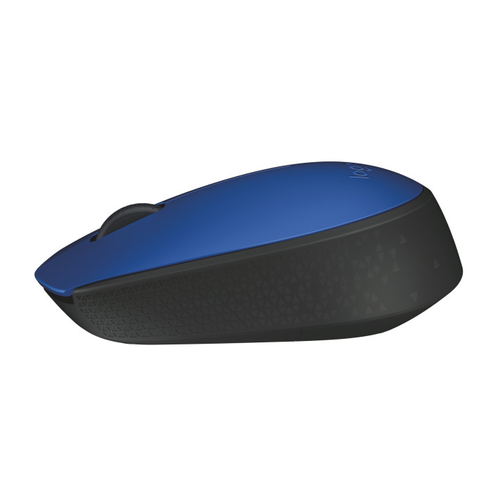 Logitech M171