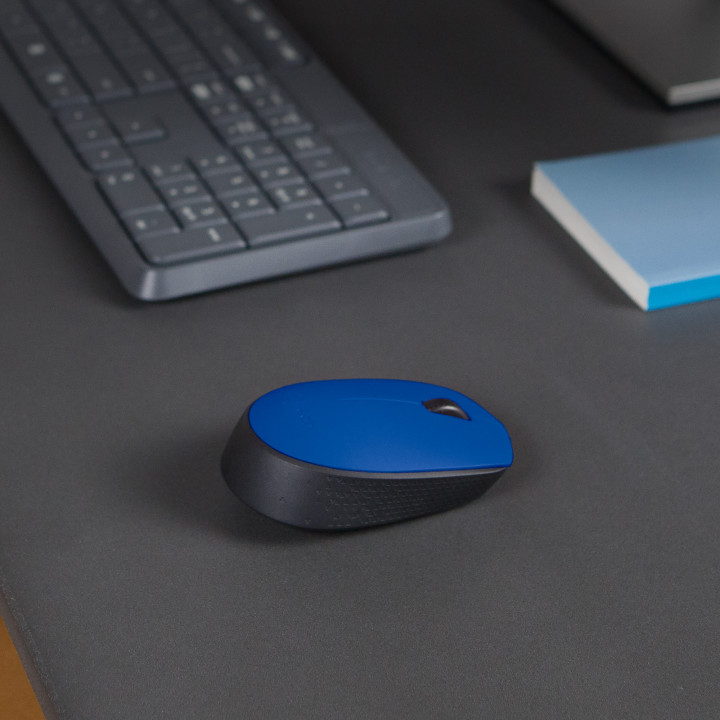 Logitech M171