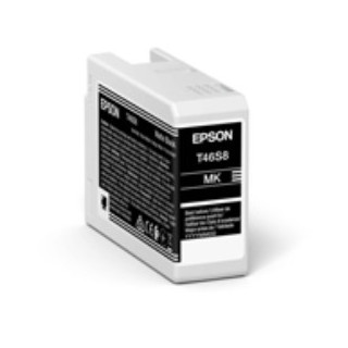 Epson UltraChrome Pro10 cartouche d'encre 1 pièce(s) Original Noir