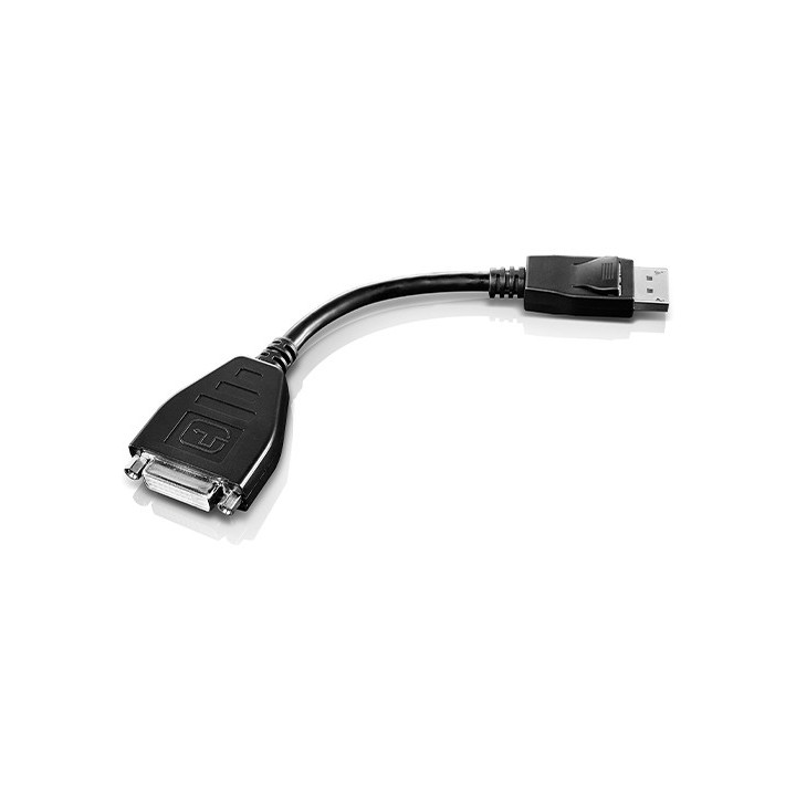 Lenovo 45J7915 câble vidéo et adaptateur 0,2 m DVI-D DisplayPort Noir