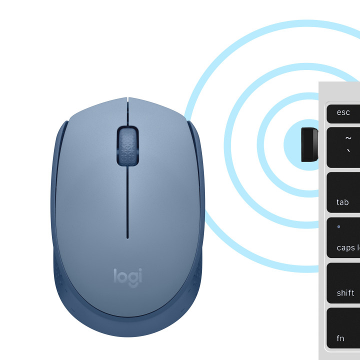 Logitech M171