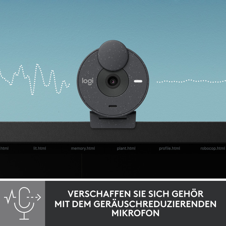 Logitech Brio 300