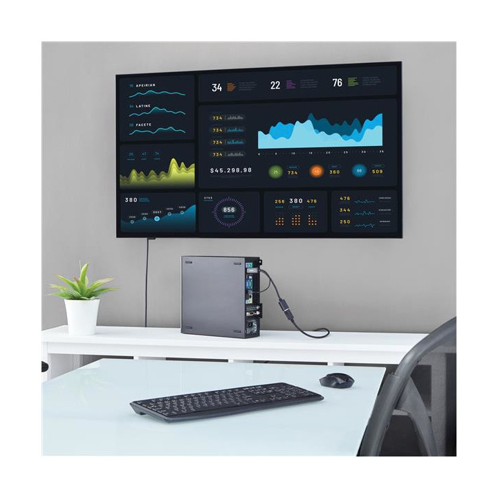 StarTech.com Adaptateur HDMI vers DisplayPort 4K alimenté par USB