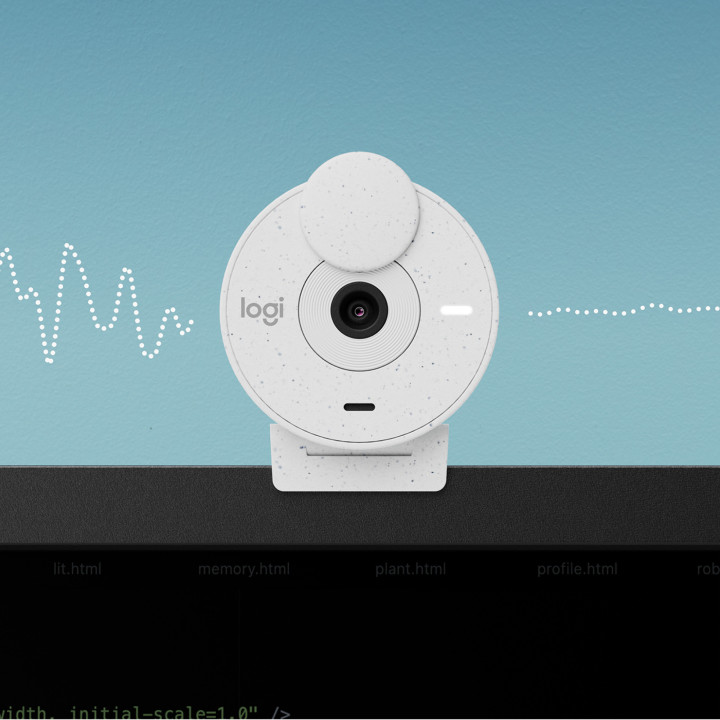 Logitech Brio 300