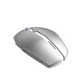 CHERRY GENTIX BT souris Jouer Ambidextre Bluetooth Optique 2000 DPI
