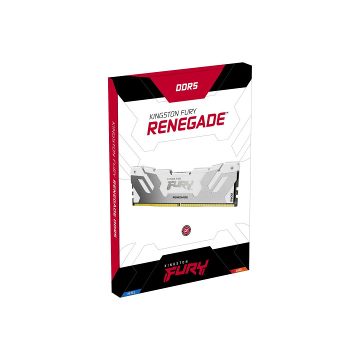 Kingston Technology FURY 64 Go 6400 MT/s DDR5 CL32 DIMM (kit de 2) Renegade White XMP