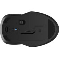 HP 255 Dual Wireless Mouse