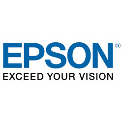Epson Lunettes 3D (RF) - ELPGS03
