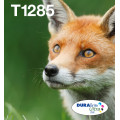 Epson Fox Multipack 4-colours T128 EasyMail