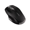 CHERRY MW 2310 2.0 souris RF sans fil Optique 2400 DPI Ambidextre