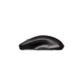 CHERRY MW 2310 2.0 souris RF sans fil Optique 2400 DPI Ambidextre