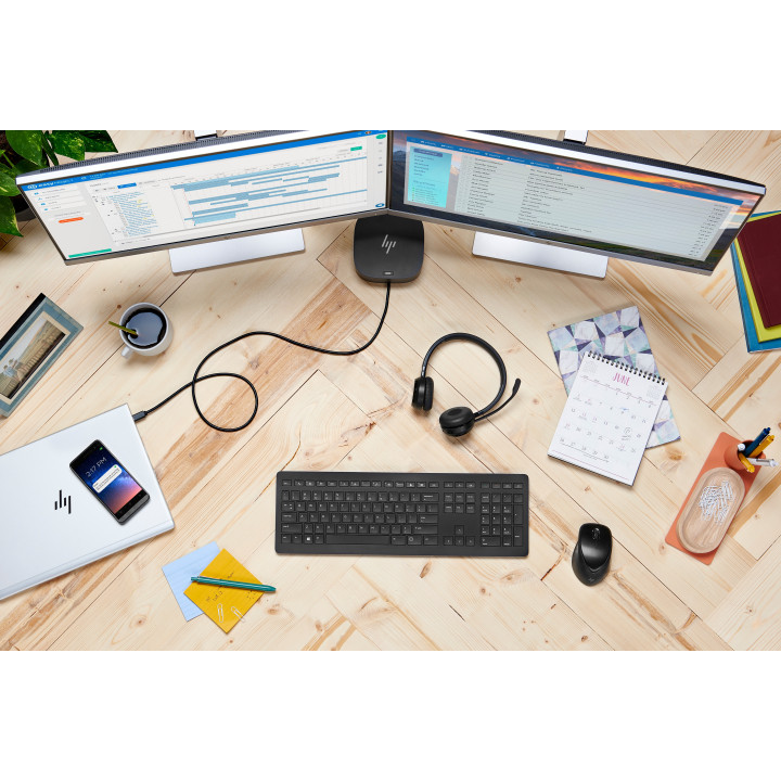 HP Souris sans fil Premium