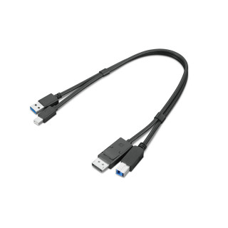 Lenovo 4X91D11453 câble USB USB 3.2 Gen 1 (3.1 Gen 1) 0,43 m USB A USB B Noir