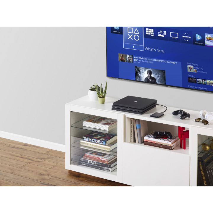 Seagate Game Drive STGD2000200 disque dur externe 2 To Noir